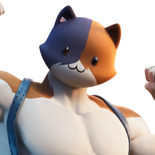 Roy G Meowscles Fortnite