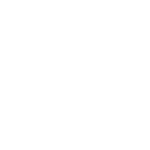 Promessa da Viúva Fortnite