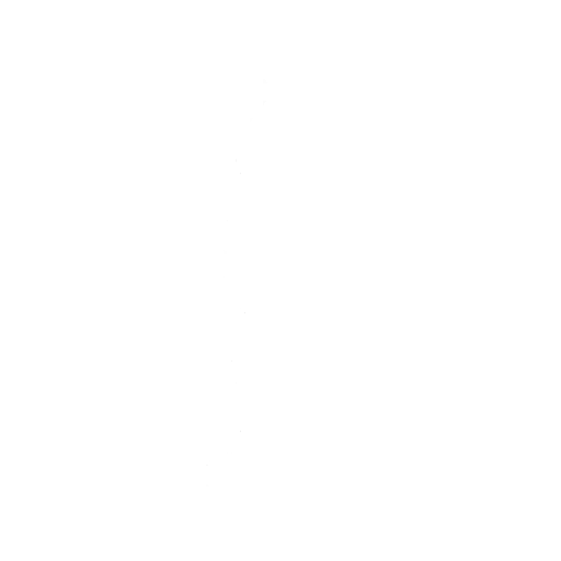 Lord Vader Fortnite